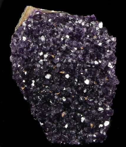 Dark Purple Amethyst Cut Base Cluster - Uruguay #36643